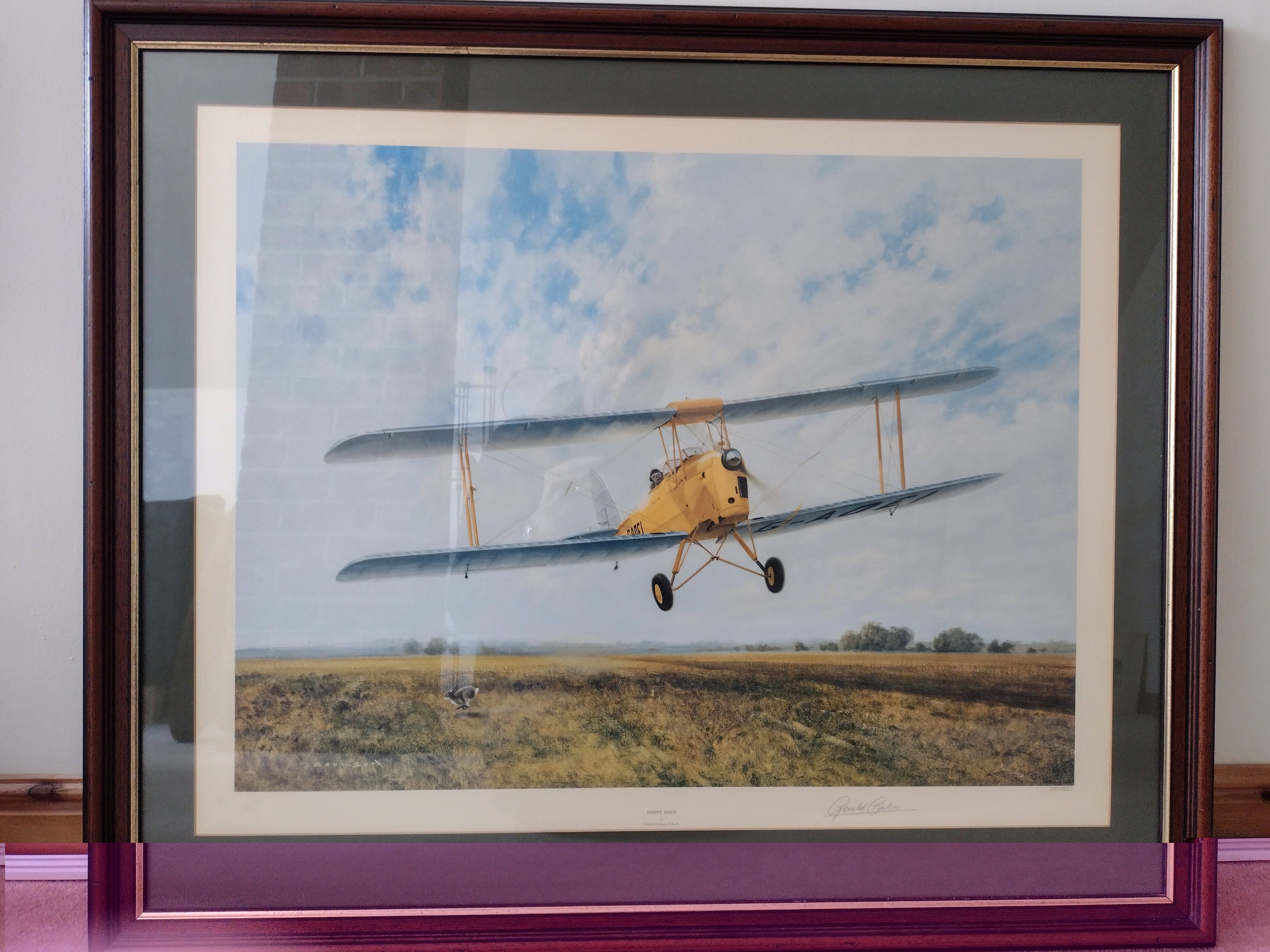 Gerald Coulson Happy Days Tiger Moth print