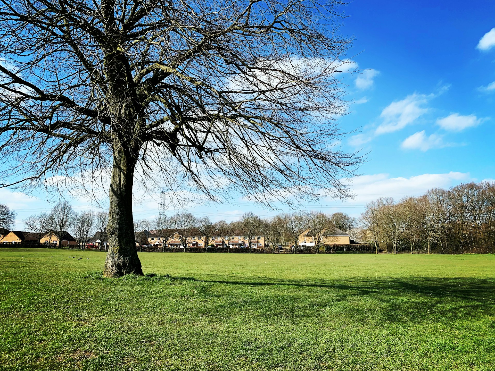 Aero Clubs in Hertfordshire