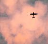 How expensive is it to fly as a hobby?