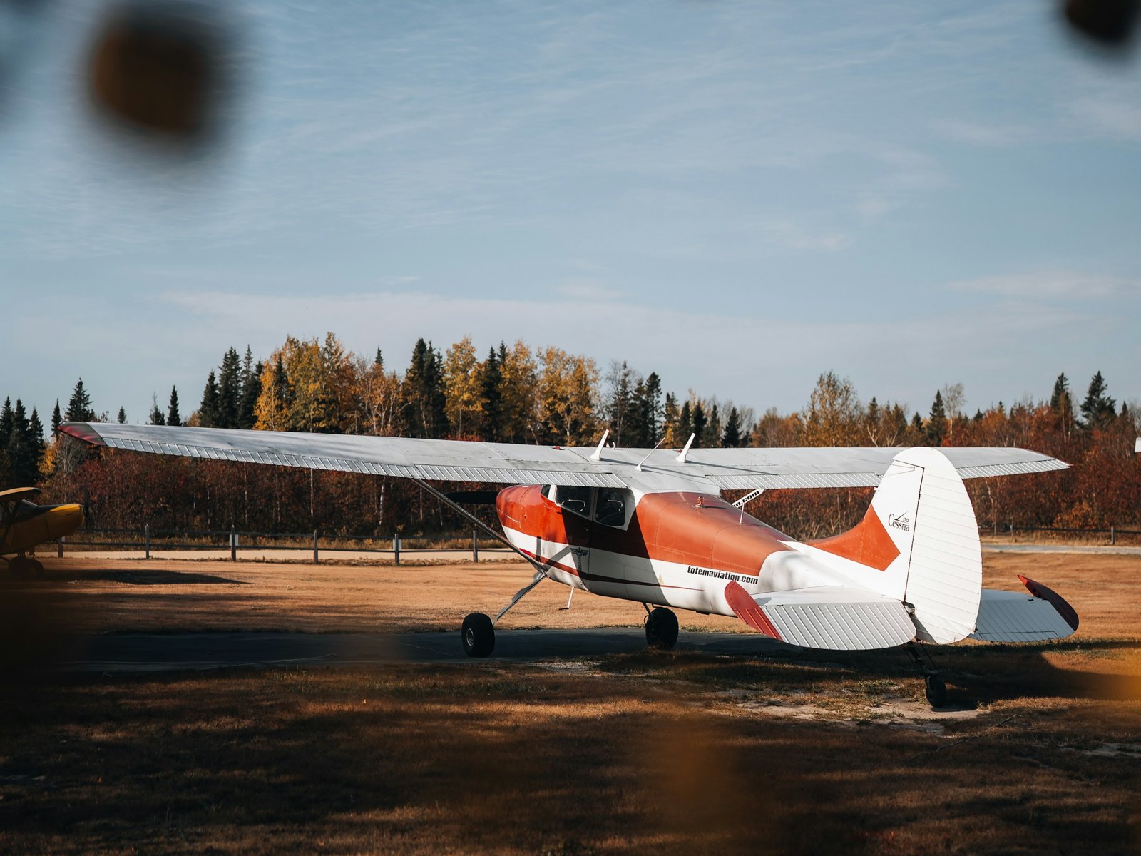 Red and white high-wing Cessna light aircraft parked on a grass airfield framed by autumn trees